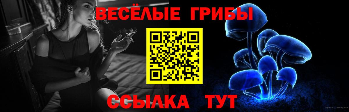 где купить   Вход с VPN  Прокопьевск  Псилоцибиновые грибы Psilocybine cubensis 