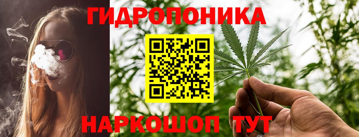 Конопля гибрид  Вход с VPN  Прокопьевск  Канабис Bruce Banner 